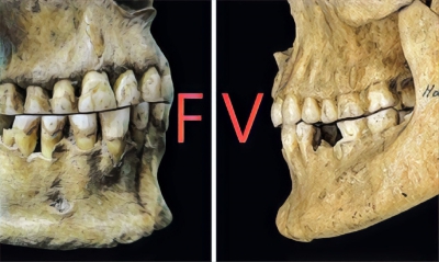 人類到新石器時代才能罵出「F」音？