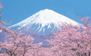 【旅遊】日本人心中的TOP 10景點