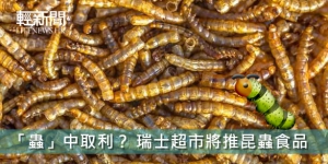 「蟲」中取利？ 瑞士超市將推昆蟲食品