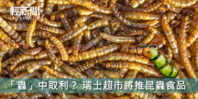 「蟲」中取利？ 瑞士超市將推昆蟲食品