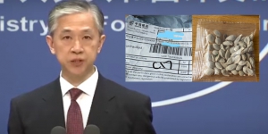 美國民眾稱收到寄自中國不明種子 中國外交部：假郵件