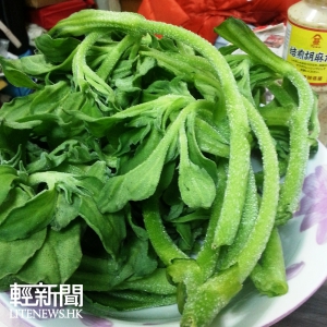 【飲食】口味奇特的「非洲冰草」