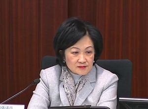 一地兩檢條例草案委員會建制派奪正副主席