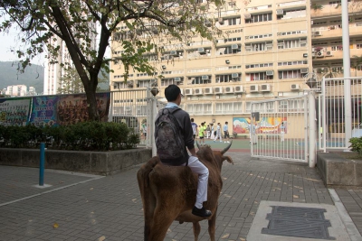 屯門有牛？諷刺港人對屯門誤解 大學生改圖獲勁讚！