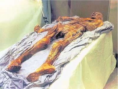 世上最老木乃伊生前或患心臟病 死前吃羊肉大餐