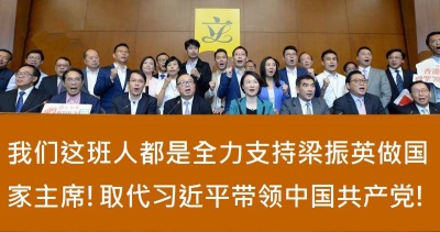 建制派大團結照被惡搞「煽動顛覆國家政權」