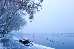 【攝影】最美雪西湖 杭州雪景組圖