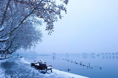 【攝影】最美雪西湖 杭州雪景組圖