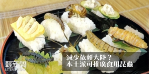 【來稿】減少依賴大陸？本土派可推廣食用昆蟲