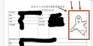 資格試考生誤用表情圖片作相片 網友：快點去整容吧