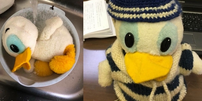 最溫馨的失物啟事？日博物館刊唐老鴨出浴照尋30年前主人