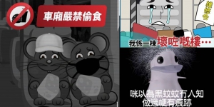 【輕盤點】「安心偷食」成全城熱話 各行各界點抽水？