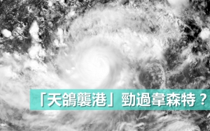 【盤點近期颱風】「天鴿襲港」勁過韋森特？