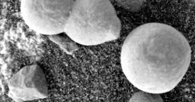 火星「蕈狀物」相片 又掀生物存在爭議
