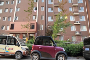 電動車流行反凸顯社會設施落後
