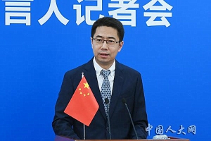臧鐵偉指特區法律是否違憲由人大常委會決定