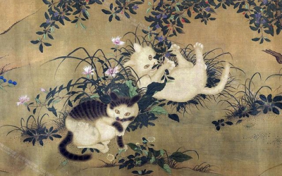 【冷知識】古人如何當貓奴？ 養貓要下重金聘禮！