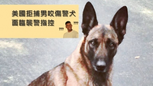 「人咬狗」新聞出現：美國男子拒捕咬傷警犬 被控「襲警」