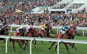 馬場如播奏國歌場內所有馬迷都需要肅立