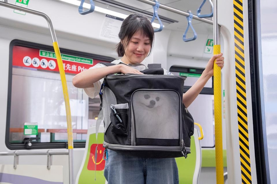 【博評】無雙直傳：寵物搭鐵路是一場「符號戰爭」　為什麼「雞」不能搭？