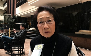 陳婉嫻：感覺不到中央只支持林鄭月娥