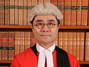 判詞撮要：釋法沒影響法庭的結論