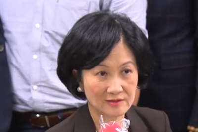 葉劉淑儀：中產區增不滿政府選民