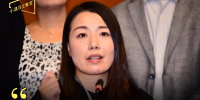 【評論】劉小麗上訴 泛民表態異常吊詭
