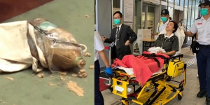 許智峯立法會帶腐爛植物抗議傳惡臭 陳凱欣不適送院