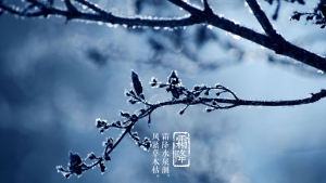 【節日】霜降來臨 「winter is coming」