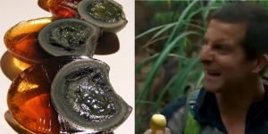 不適合人類食用？華人意大利賣皮蛋遭充公