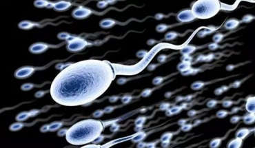 英研究發現：全球男性精子濃度持續下降　 40 年來已減過半