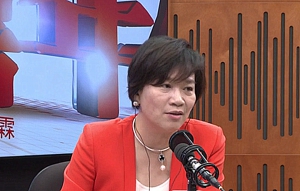 高鐵失自由？梁美芬：何苦一定要激怒內地