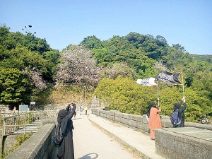 疑似恐怖組織「基地」旗幟在獅子山飄揚拍照