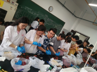 大學實驗室請學生吃800斤荔枝？校方解釋：實驗需荔枝核