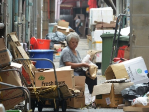 低津明年5月開始申請 意見指忽視單身漢