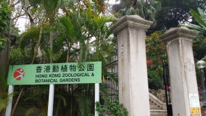 動植物公園蚊子疑帶登革熱病毒