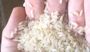 疑內地生產「塑膠米」竟遠銷至西非尼日利亞