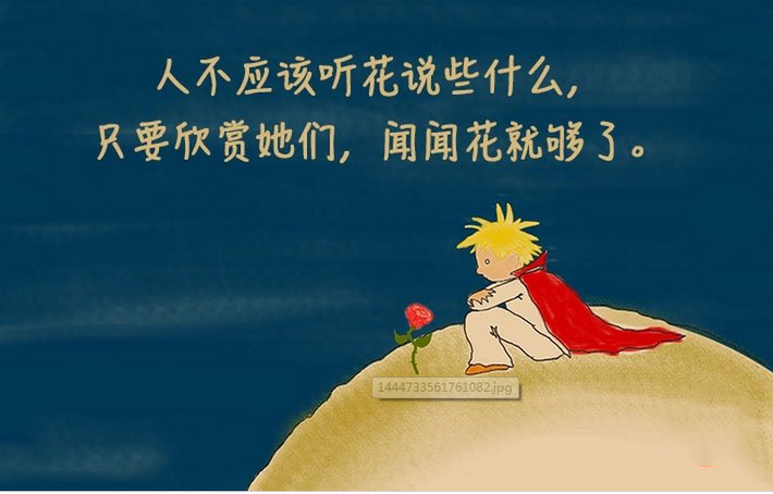 1015 小王子 6