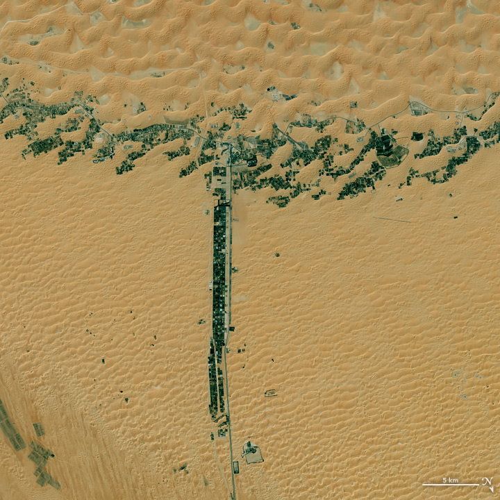 liwa_oli_2015068