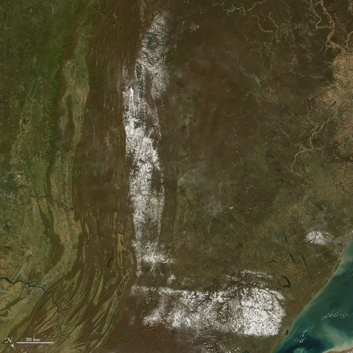 neusa_amo_2008304