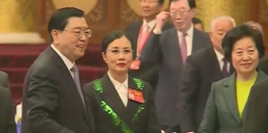 張德江無提特首人選中央傾向