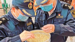 中國驗出美國進口燕麥混有豚草 可致糧食絕收