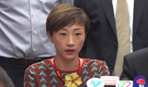 陳淑莊：人大常委下令香港「自閹」