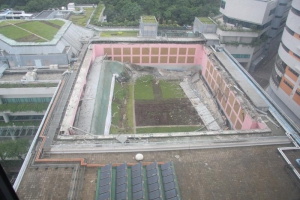 【紙媒觀點】塌頂事故：大學、政府管治雙雙腐化？