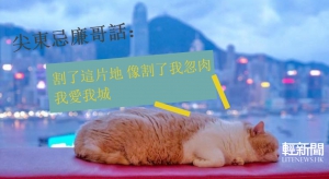 忌廉哥「出聲」反一地兩檢 遭圍插