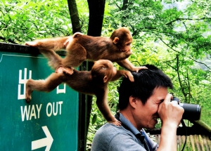 【旅遊】屬猴華人全年無限次免費登峨眉山