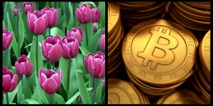 【博評】蘇蘭斯：比特幣與鬱金香