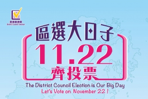 【輕盤點】2015區議會選舉結果