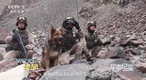 【軍事博評】呂琪：「你護我安全，我養你一世」&mdash;談談中國軍犬